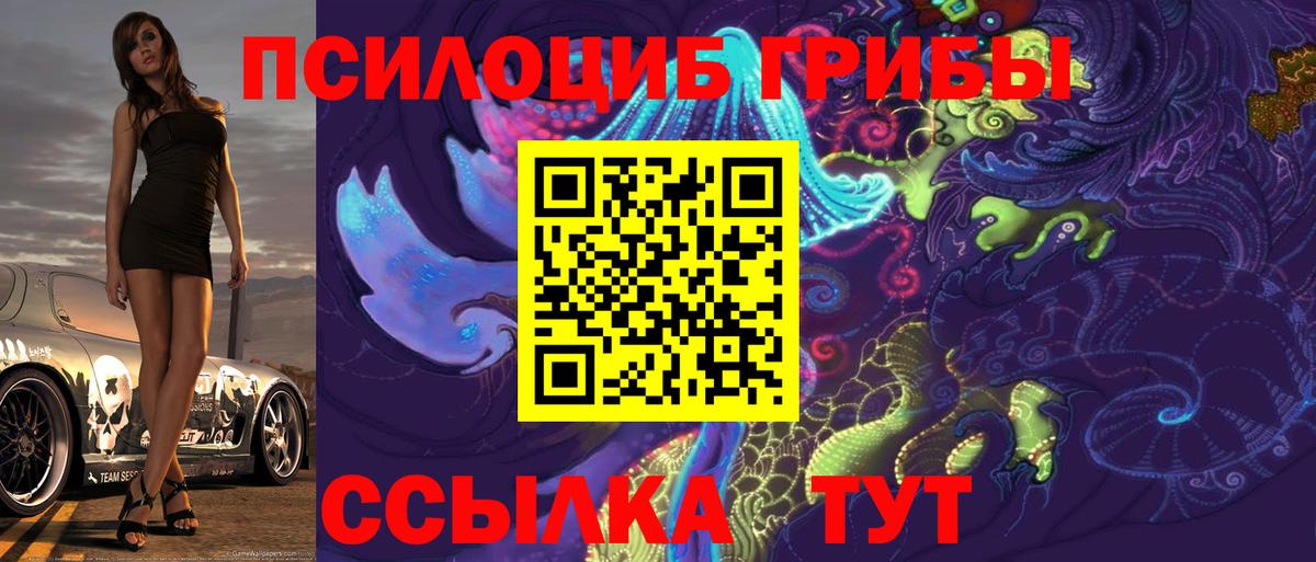 Донской  Псилоцибиновые грибы прущие грибы  Вход с VPN 
